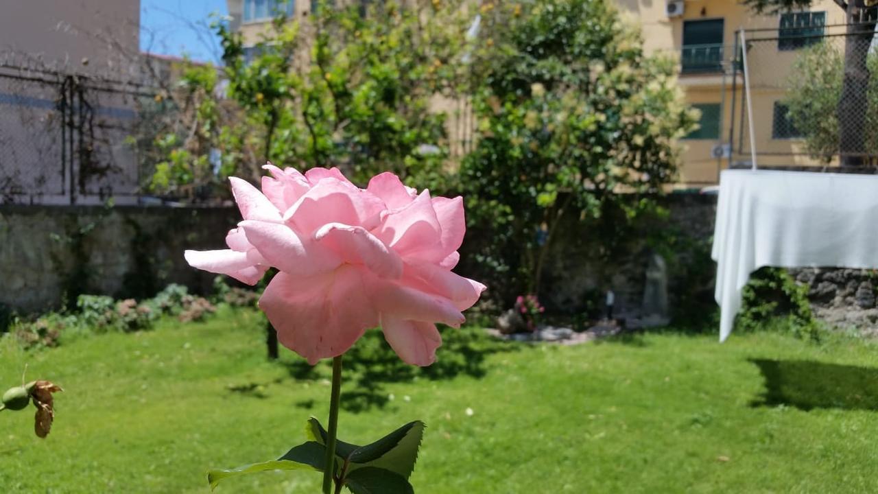 Vesuvius Gardens - Fagianeria Borbonica Relais Bed & Breakfast Ercolano Exterior photo